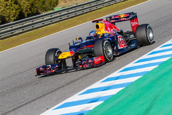 Tým Red Bull F1 — Stock fotografie