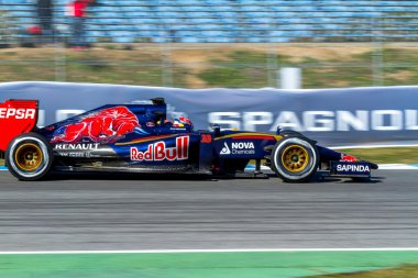 Scuderia Toro Rosso F1 takımı