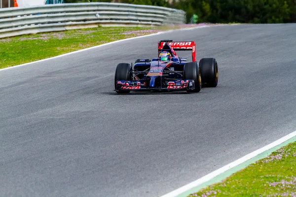 Squadra toro rosso f1 — Foto Stock