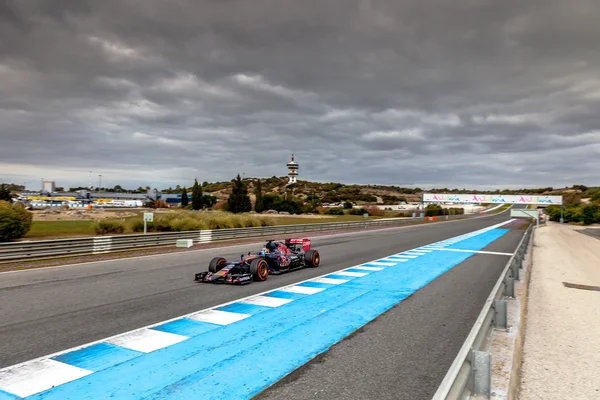 Equipa Scuderia Toro Rosso F1 — Fotografia de Stock