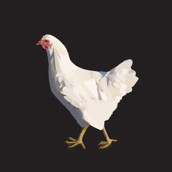 Pollame di pollo, gallina ovaiola, agricoltura, vettore isolato — Vettoriale Stock