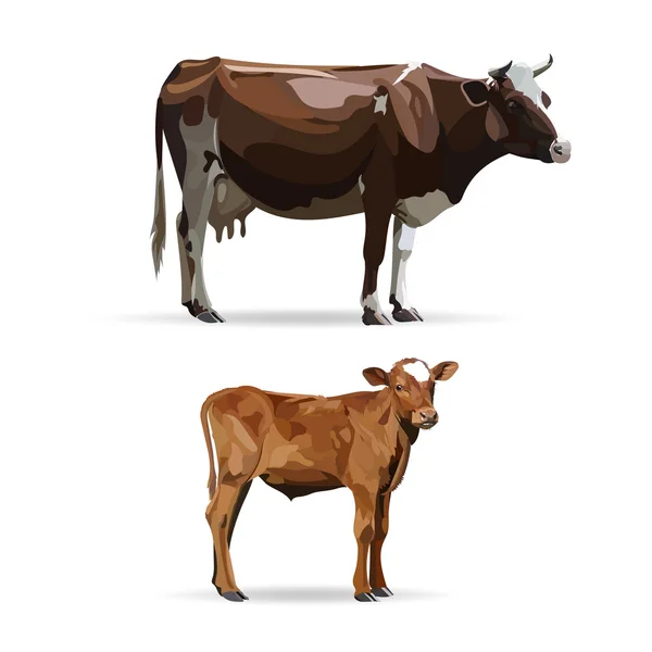 Vaca; ilustración vectorial; iconos; símbolos — Vector de stock