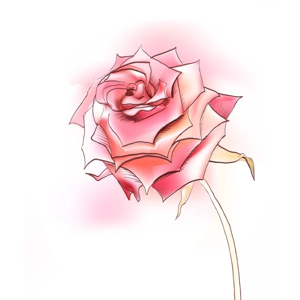 Rose, graphique, icône, dessin à l'aquarelle, dessin linéaire — Image vectorielle