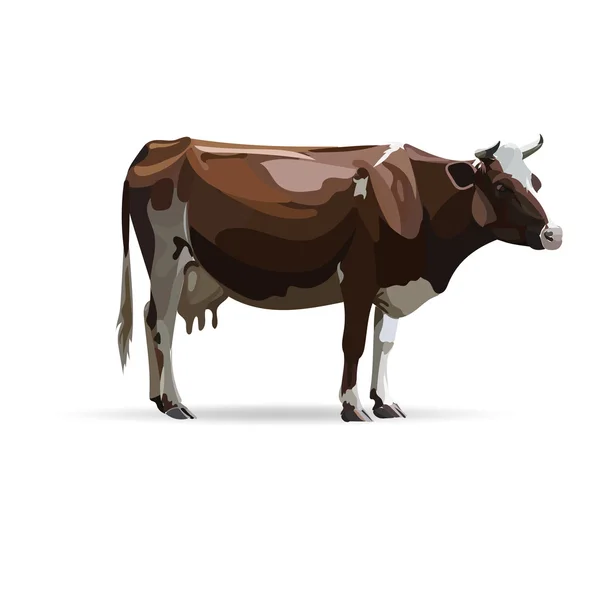 Vache, illustration vectorielle, icônes, symboles , — Image vectorielle