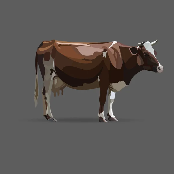 Kráva, vektorové ilustrace, ikony, symboly, — Stockový vektor