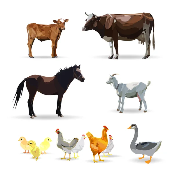 Cow Calf brown, vector. Goose, horse, chicken, goat — Stock Vector