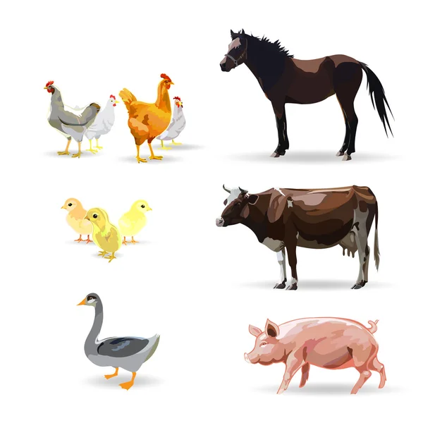 Ganado, caballo, pollo, pollo, vaca, cerdo, cerdo, vector illust — Vector de stock