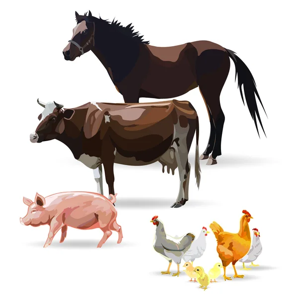 家畜、馬、鶏、鶏、牛、豚、豚、ベクトル イラスト — ストックベクタ