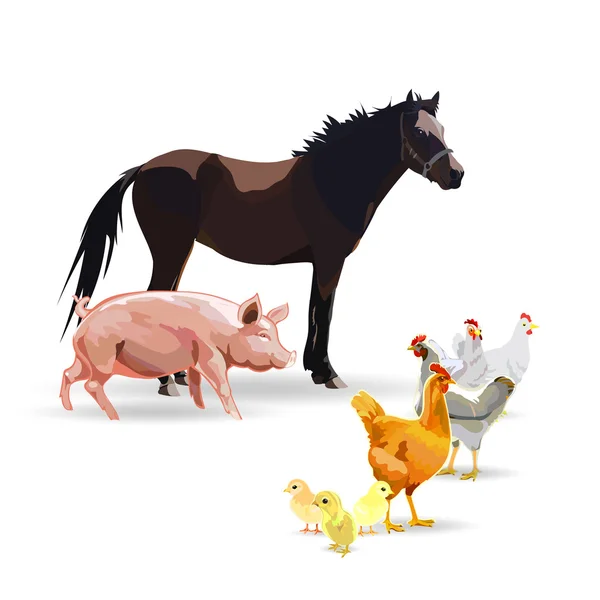 Livestock, horse, chicken, chicken, cow, pig, pig, vector illust — Stock Vector