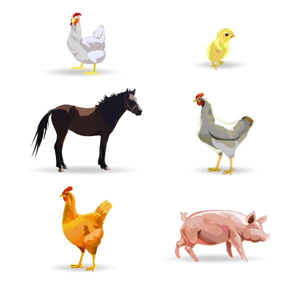 Bétail, cheval, poulet, poulet, vache, porc, cochon, illust vectorielle — Image vectorielle