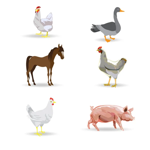 Vee, paard, kip, kip, koe, varken, varkens, vector illust — Stockvector