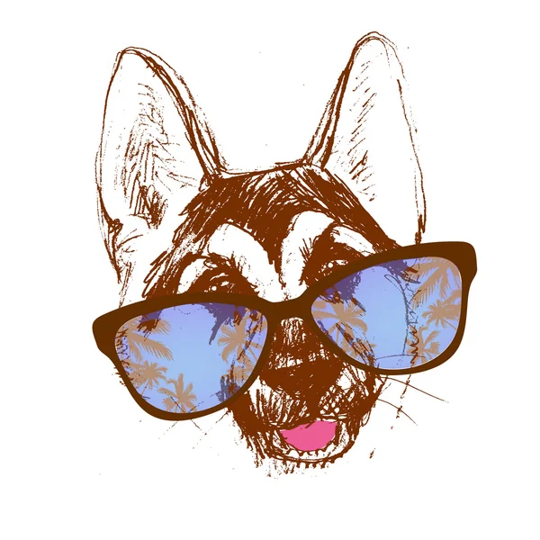 Vecteur, berger, chien, dessin de lunettes hipster, illustration — Image vectorielle