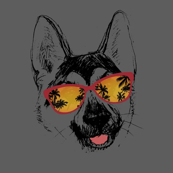 Vecteur, berger, chien, dessin de lunettes hipster, illustration — Image vectorielle