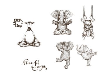 Filler yoga yaptıktan sonra bunu yapar. Karakter çizimleri yapar.