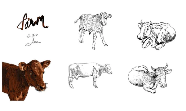 Landwirtschaft Bauernhof Huhn Kuh Pferd Ziege Reihe Von Tier Symbole — Stockvektor