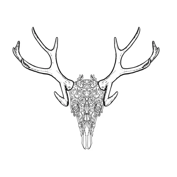 Illustration Vectorielle Des Cornes Cerf — Image vectorielle