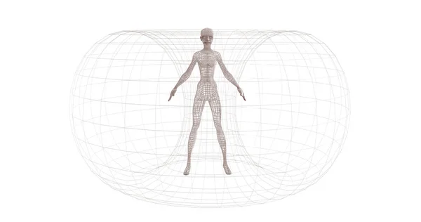 Human Wireframe Model White Background —  Fotos de Stock