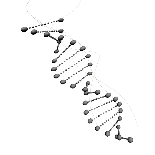 structure of dna molecules with dots and lines.