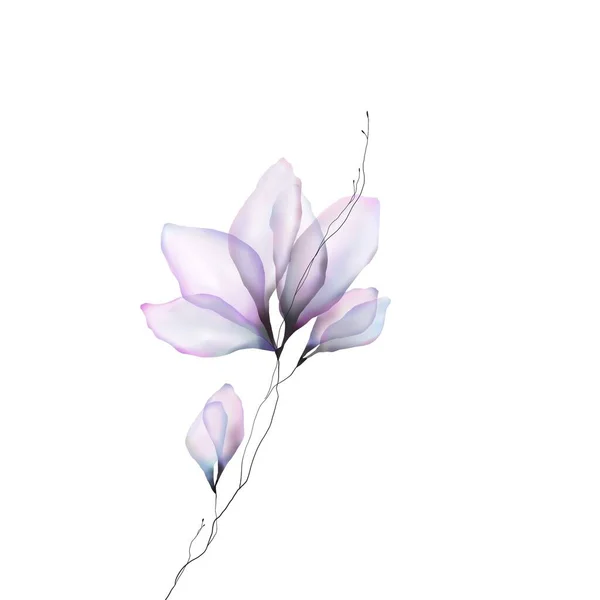 Beyaz Arkaplanda Izole Edilmiş Pembe Çiçek — Stok fotoğraf