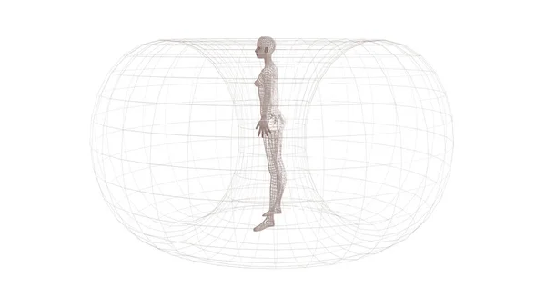 白色背景下的人体线框模型 — 图库照片