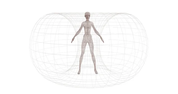 Human Wireframe Model White Background —  Fotos de Stock