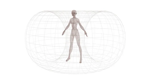 Human Wireframe Model White Background — Stock Photo, Image