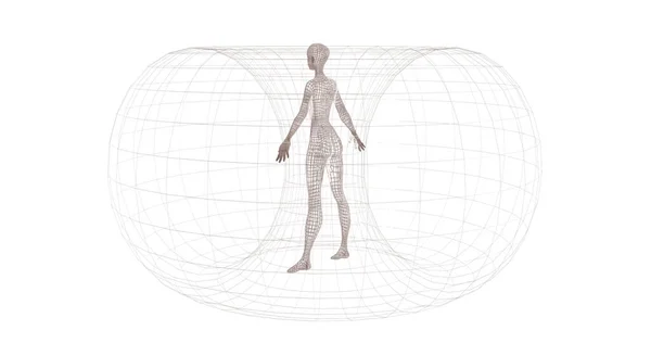 Ludzki Model Ramy Drutowej Białym Tle — Zdjęcie stockowe