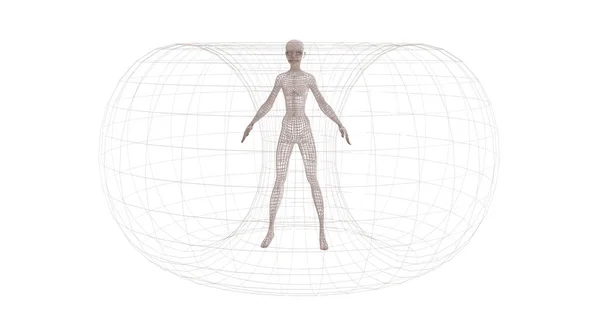 Human Wireframe Model White Background —  Fotos de Stock