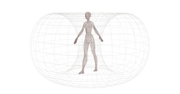 Human Wireframe Model White Background —  Fotos de Stock