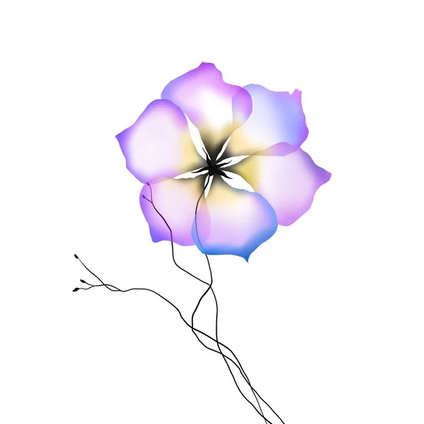 Υδατογραφία Λουλούδια Πρότυπο Πλαίσιο Βινιέτα Πρόσκληση Εικονογράφηση — Φωτογραφία Αρχείου