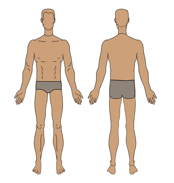 Figura torso hombres vector — Vector de stock