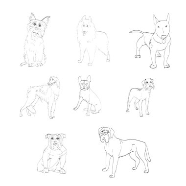 breed dog vector coloring