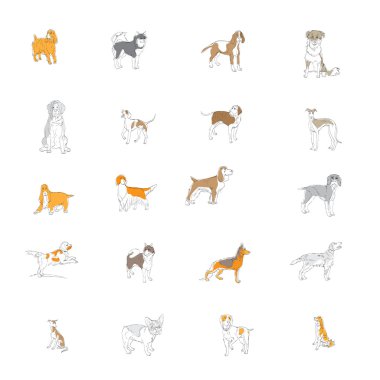 dog breed, vector