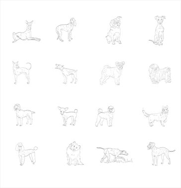 vector, symbol, illustration, dog