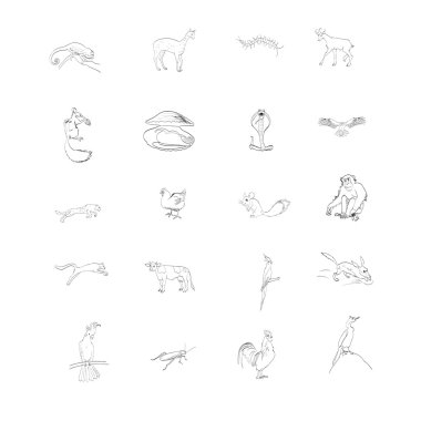 animals, vector, birds, insect