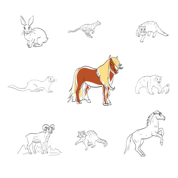 Pony, caballo de Przewalski, nutria, conejo, vector — Vector de stock