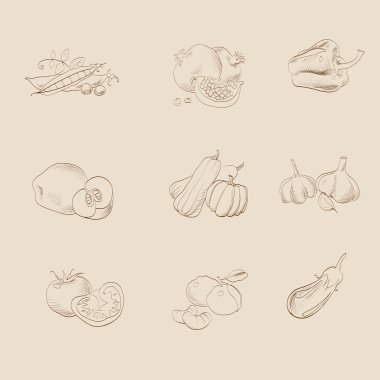 vegetables and fruits vector