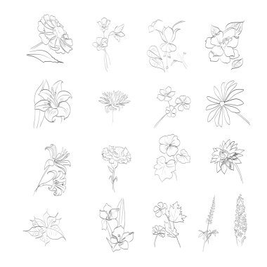 Flovers vector illustrations