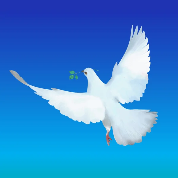 Летящий белый голубь с вектором оливковой ветви — стоковый вектор