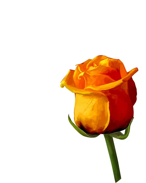 Rose flor broto isolado desenho ilustração — Fotografia de Stock