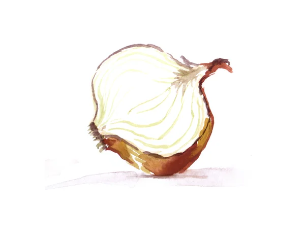 Akvarell illustration av grönsaker lök — Stockfoto