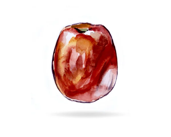 Ilustração aquarela de um tomate — Fotografia de Stock