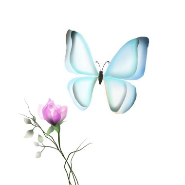 Kelebek duvardaki davetiyeye suluboya parlak büyüler çiziyor.