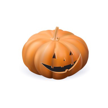 pumpkin vector , Isolated realistic pumpkin