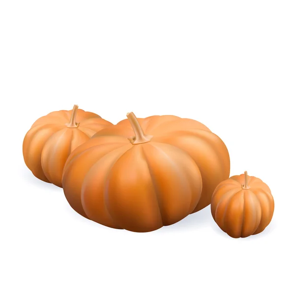 Vector de calabaza, calabaza realista aislada — Vector de stock