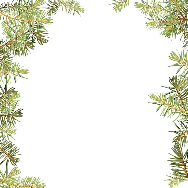 Realistische naalden, vuren takken kerstboom, gedetailleerd, frame van vuren takken, sjabloon voor ontwerp, — Stockvector