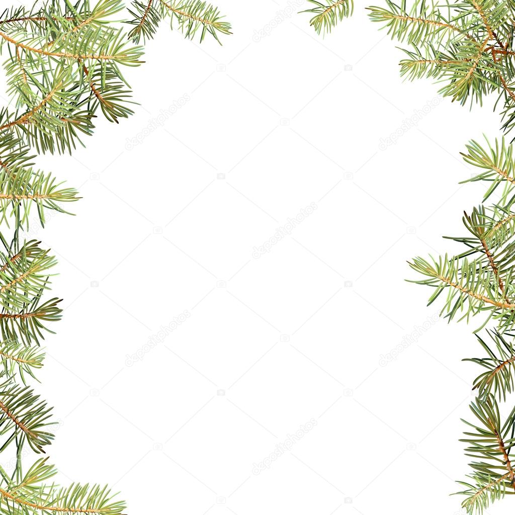 Realistic needles, spruce branches Christmas tree, detailed, frame of spruce branches, template for design,