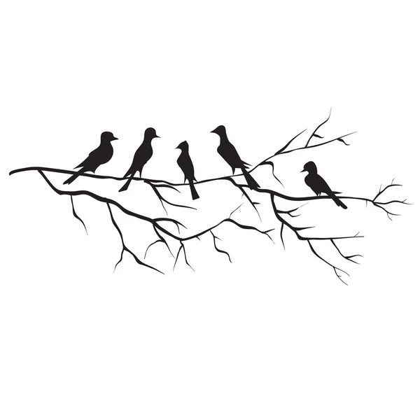 Птицы, векторный мультфильм — стоковый вектор