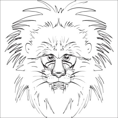 Afrika aslanı baş, logo sketch vektör