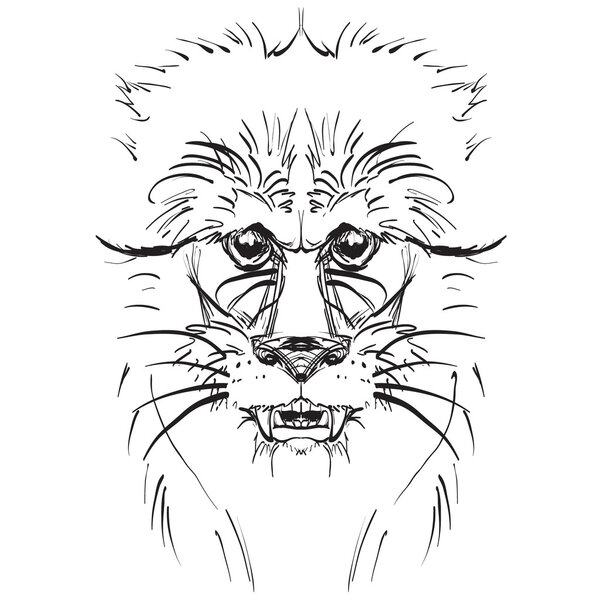 African lion head, logo sketch vector